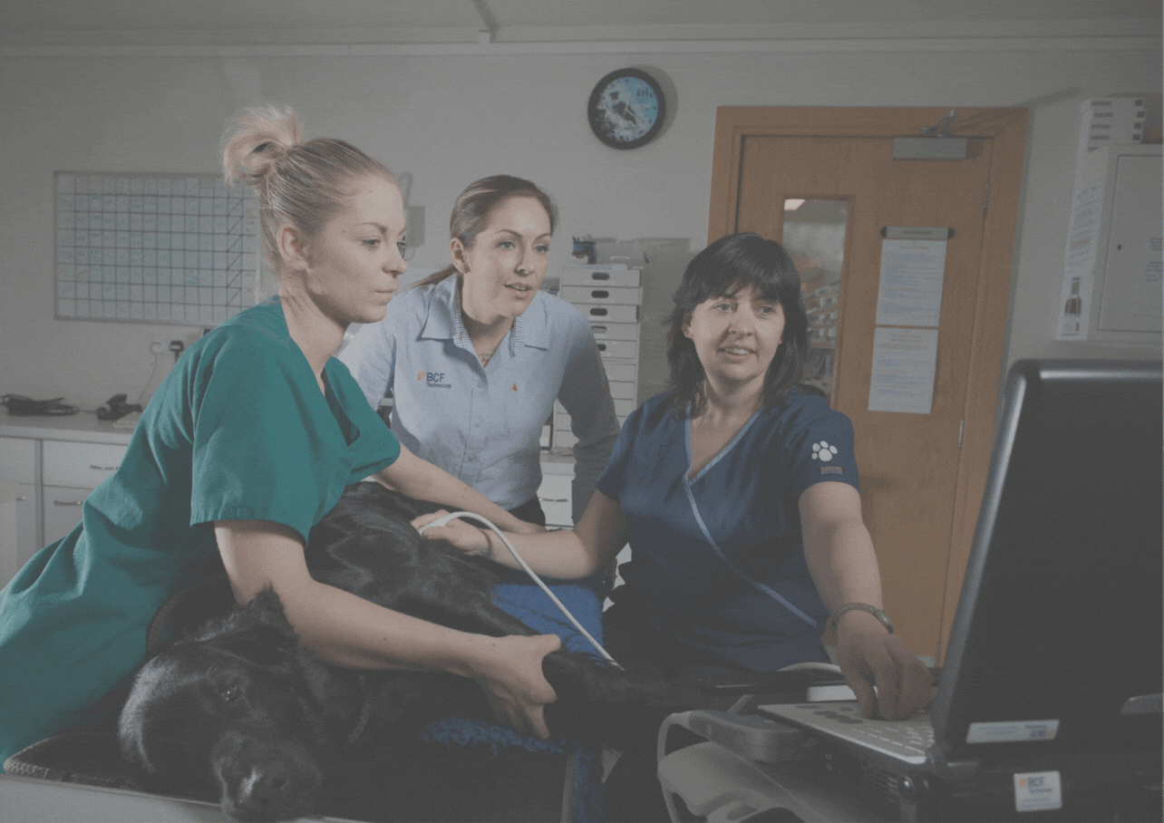 Logiq e R7 Special Offer